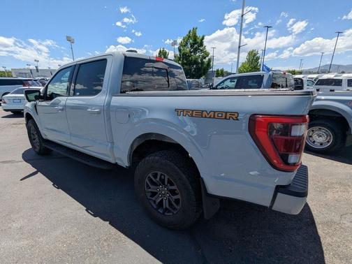 Avalanche 2023 Ford F-150 Tremor