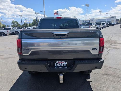 Magnetic 2019 Ford F-150 Platinum