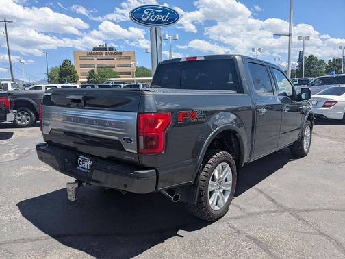 Magnetic 2019 Ford F-150 Platinum