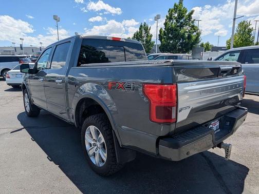Magnetic 2019 Ford F-150 Platinum