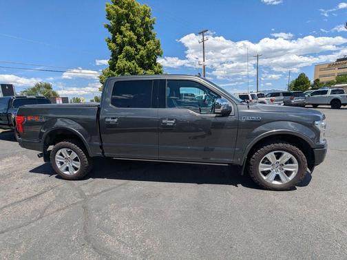 Magnetic 2019 Ford F-150 Platinum