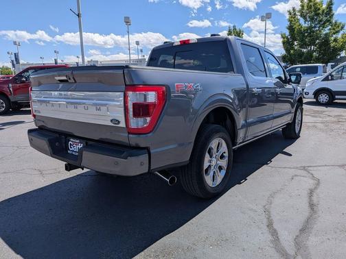 Gray Metallic 2021 Ford F-150 Platinum