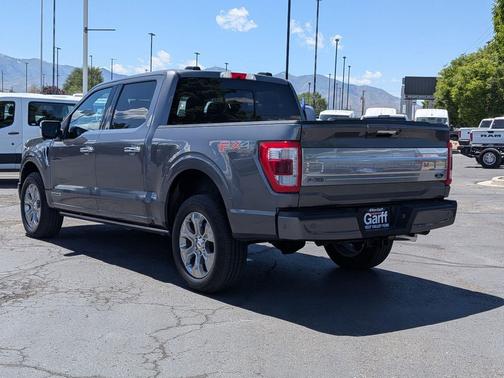 Gray Metallic 2021 Ford F-150 Platinum