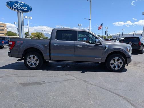 Gray Metallic 2021 Ford F-150 Platinum