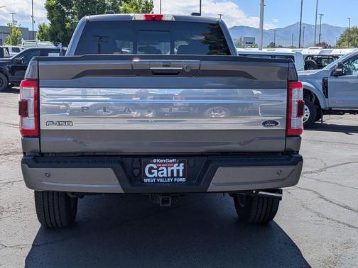 Gray Metallic 2021 Ford F-150 Platinum