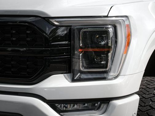 Avalanche 2023 Ford F-150 Platinum