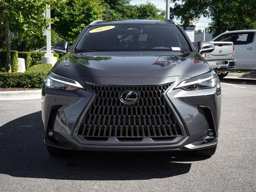 Cloudburst Gray 2025 Lexus NX 350 NX 350 Premium