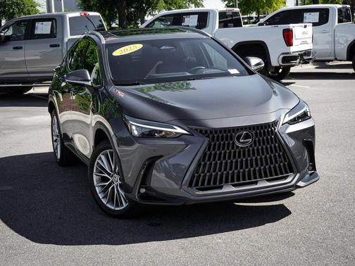 Cloudburst Gray 2025 Lexus NX 350 NX 350 Premium
