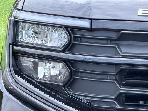 AGATE BLACK METALLIC 2026 Ford Expedition Active
