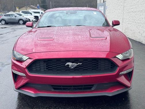 2021 Ford Mustang EcoBoost