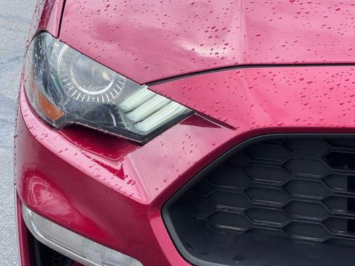 2021 Ford Mustang EcoBoost