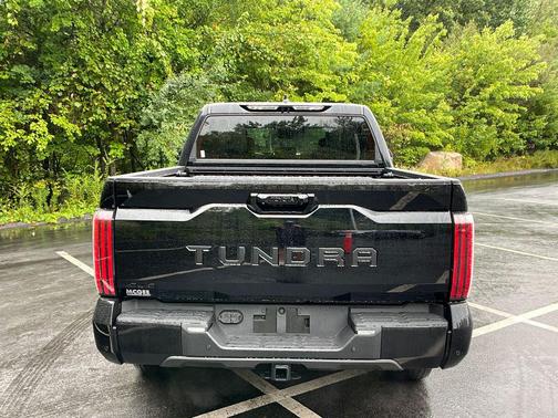 0218 2026 Toyota Tundra Platinum