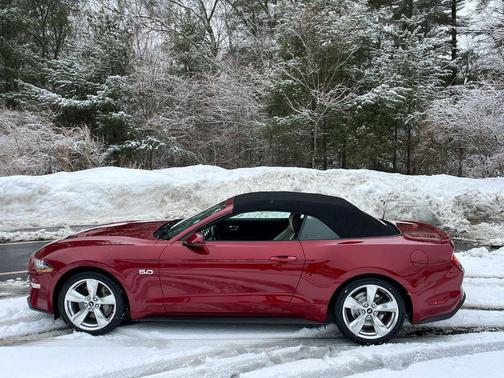 2019 Ford Mustang GT Premium