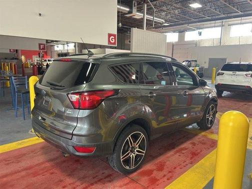Magnetic 2019 Ford Escape SEL