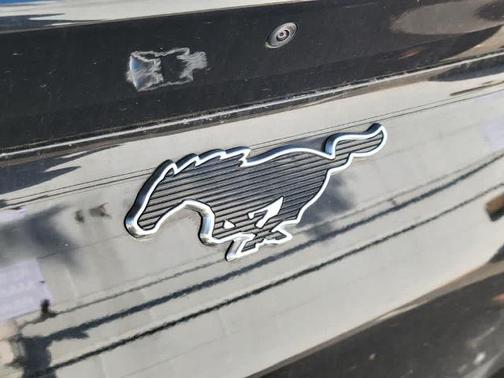 SHADOW BLACK 2025 Ford Mustang Mach-E PREMIUM