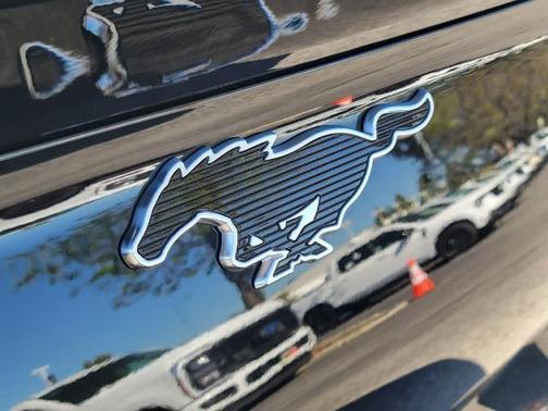 SHADOW BLACK 2025 Ford Mustang Mach-E PREMIUM
