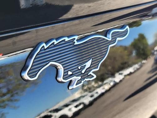 SHADOW BLACK 2025 Ford Mustang Mach-E PREMIUM