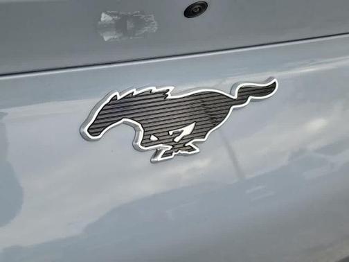 GLACIER GRAY MET TRI-COAT 2025 Ford Mustang Mach-E SELECT