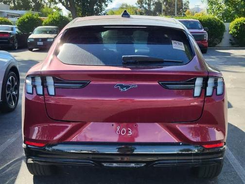 MOLTEN MAGENTA TINTED CC 2025 Ford Mustang Mach-E PREMIUM