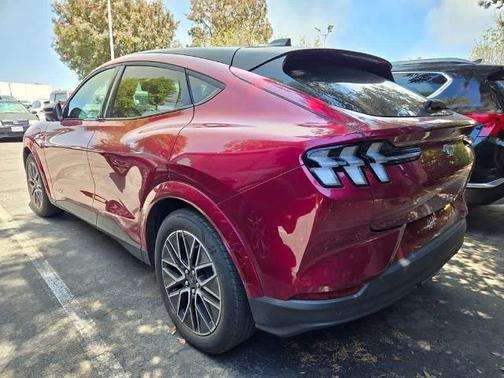 MOLTEN MAGENTA TINTED CC 2025 Ford Mustang Mach-E PREMIUM
