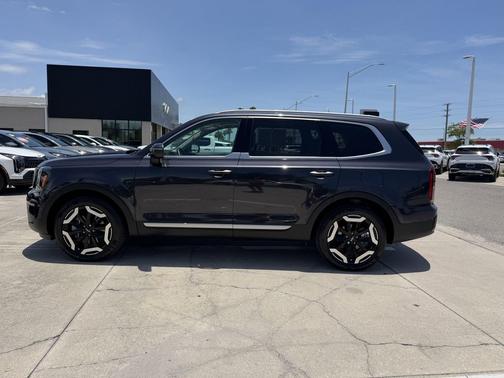 Panthera Metal 2025 Kia Telluride S