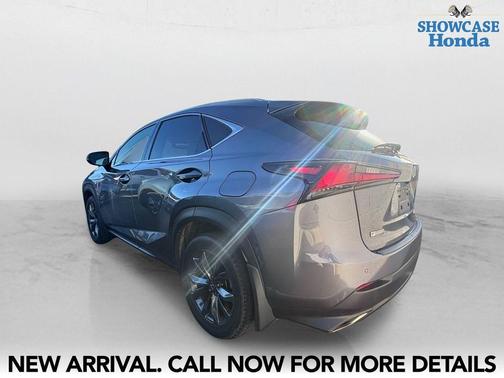 Nebula Gray Pearl 2018 Lexus NX 300 F Sport