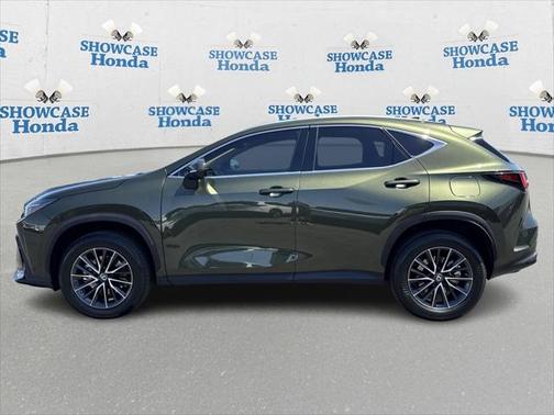 2024 Lexus NX 350h Premium