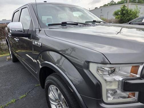 Magnetic 2017 Ford F-150 Platinum