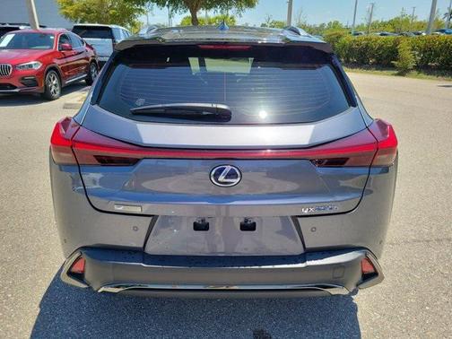 2019 Lexus UX 250h F Sport