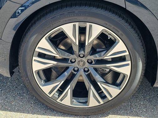 Waitomo Blue Metallic 2026 Audi Q8 55 Premium Plus