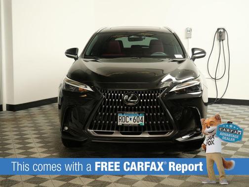 2025 Lexus NX 350 350 Base