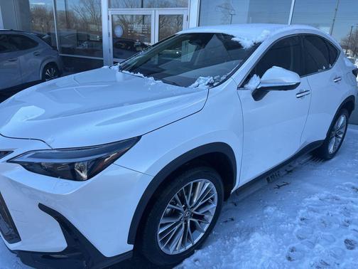 2025 Lexus NX 350h Premium