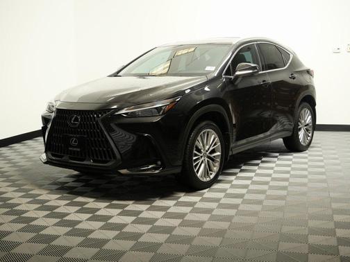 2025 Lexus NX 350h 350h Premium