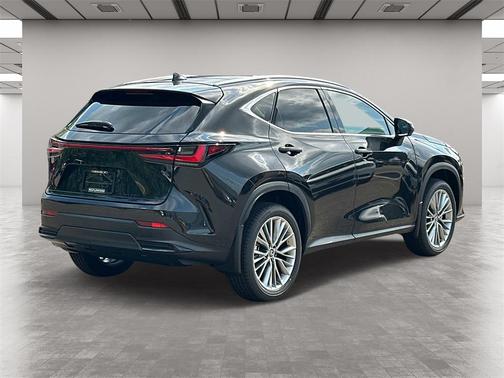 2025 Lexus NX 350 Luxury