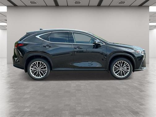 2025 Lexus NX 350 Luxury