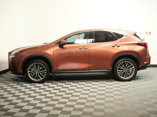 Copper 2025 Lexus NX 350h Premium