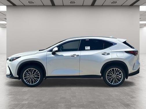 2025 Lexus NX 350h Luxury