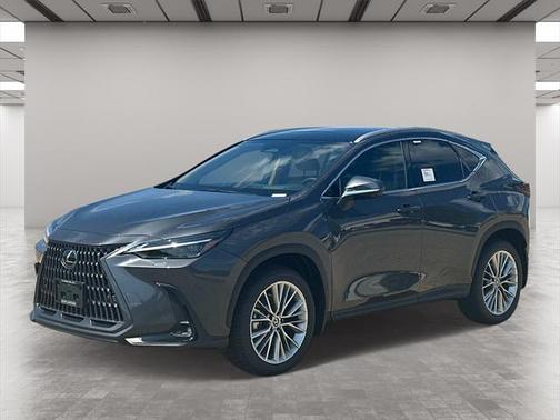 2025 Lexus NX 350 Luxury