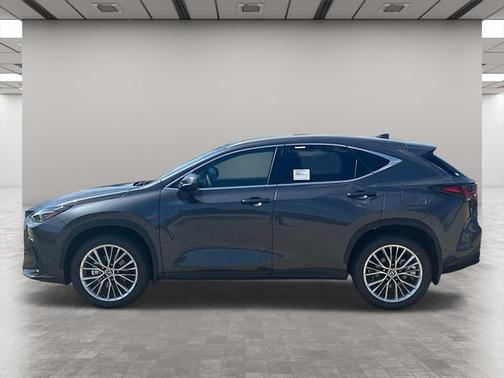 2025 Lexus NX 350 Luxury