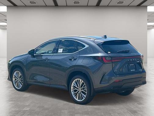 2025 Lexus NX 350 Luxury