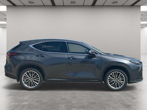 2025 Lexus NX 350 Luxury