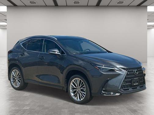 2025 Lexus NX 350 Luxury