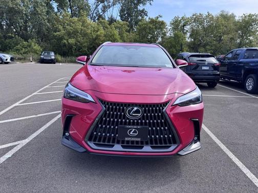 2025 Lexus NX 350h 350h Base