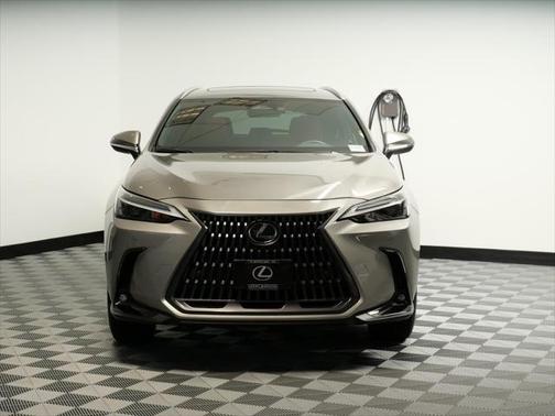 2025 Lexus NX 350 350 Base