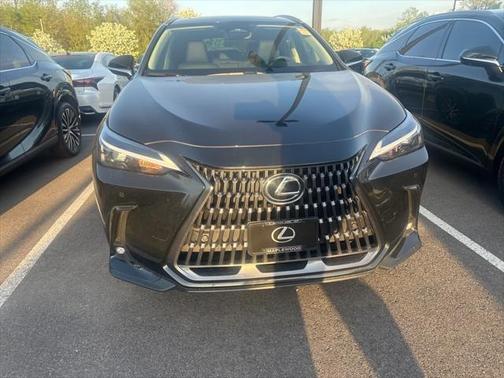 2025 Lexus NX 350 350 Base