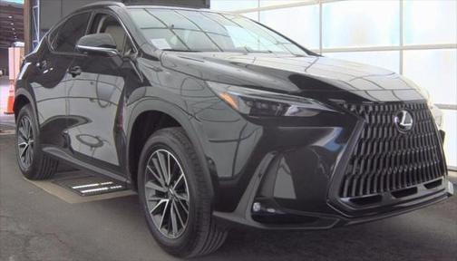 2025 Lexus NX 350h 350h Luxury