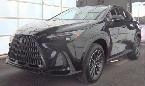 2025 Lexus NX 350h 350h Luxury