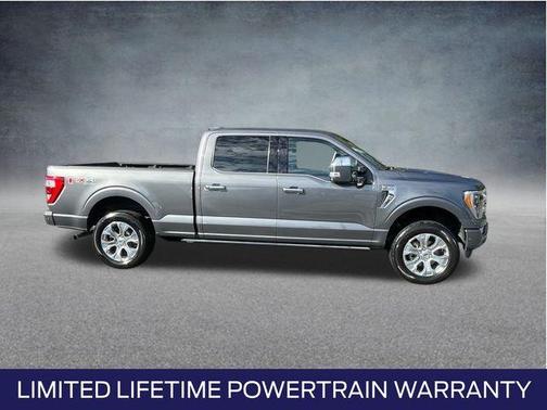 2021 Ford F-150 Platinum