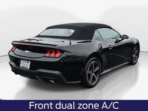 SHADOW BLACK 2024 Ford Mustang EcoBoost Premium