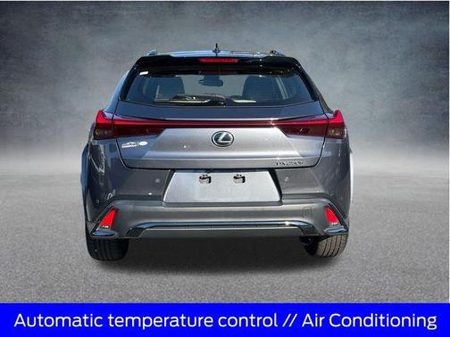 2024 Lexus UX 250h F SPORT Design